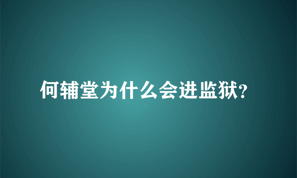 何辅堂为什么会进监狱？