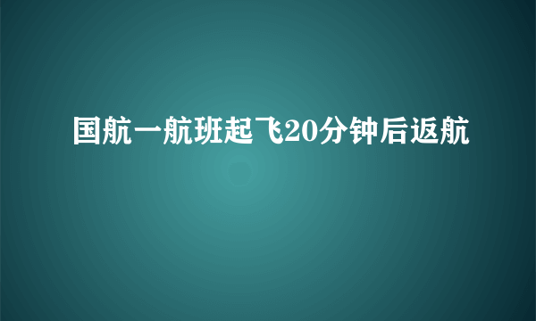 国航一航班起飞20分钟后返航