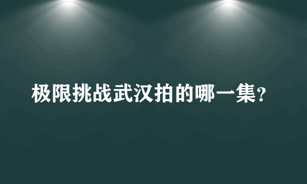 极限挑战武汉拍的哪一集？