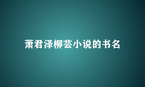 萧君泽柳芸小说的书名