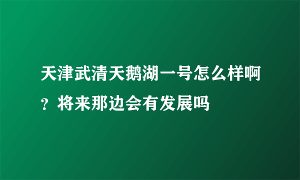 天津武清天鹅湖一号怎么样啊？将来那边会有发展吗