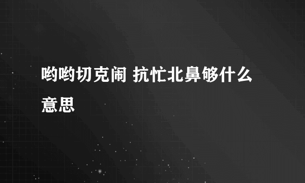 哟哟切克闹 抗忙北鼻够什么意思