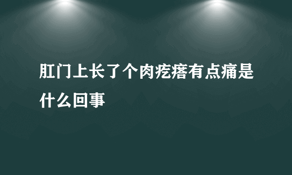 肛门上长了个肉疙瘩有点痛是什么回事