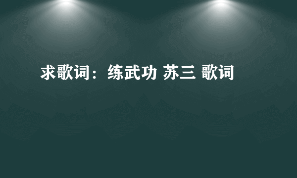 求歌词：练武功 苏三 歌词