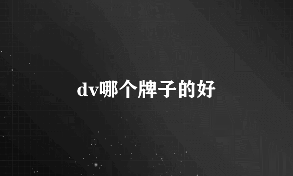 dv哪个牌子的好