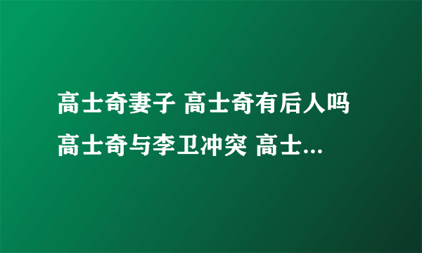 高士奇妻子 高士奇有后人吗 高士奇与李卫冲突 高士奇是宰相吗 