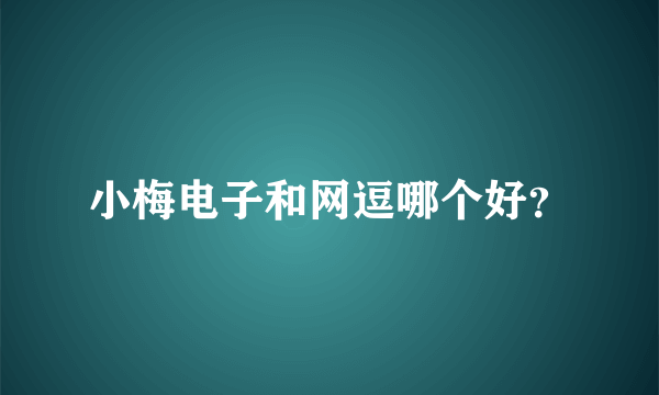 小梅电子和网逗哪个好？