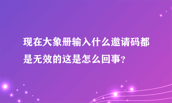 现在大象册输入什么邀请码都是无效的这是怎么回事？