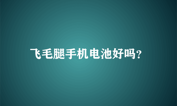 飞毛腿手机电池好吗？