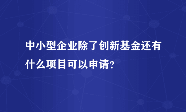 中小型企业除了创新基金还有什么项目可以申请？