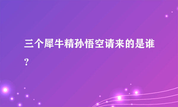 三个犀牛精孙悟空请来的是谁？