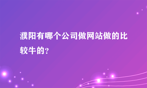 濮阳有哪个公司做网站做的比较牛的？