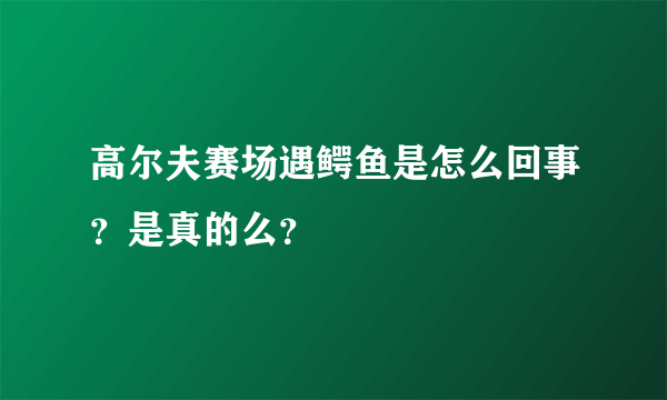 高尔夫赛场遇鳄鱼是怎么回事？是真的么？