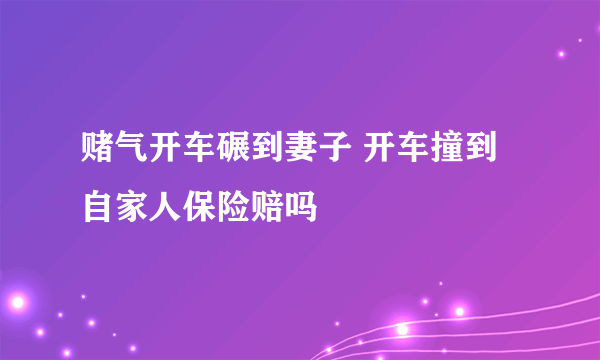 赌气开车碾到妻子 开车撞到自家人保险赔吗