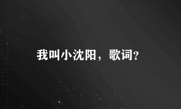 我叫小沈阳，歌词？