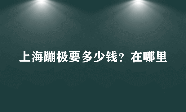 上海蹦极要多少钱？在哪里