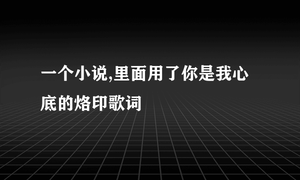 一个小说,里面用了你是我心底的烙印歌词