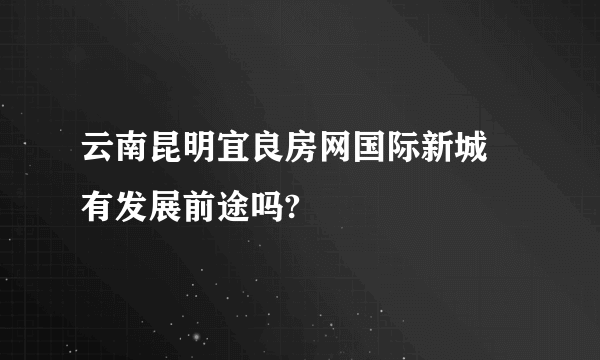 云南昆明宜良房网国际新城 有发展前途吗?