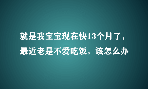 就是我宝宝现在快13个月了，最近老是不爱吃饭，该怎么办