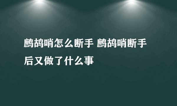 鹧鸪哨怎么断手 鹧鸪哨断手后又做了什么事