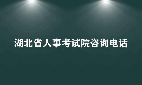 湖北省人事考试院咨询电话