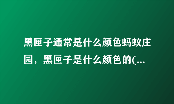 黑匣子通常是什么颜色蚂蚁庄园，黑匣子是什么颜色的( 二 )