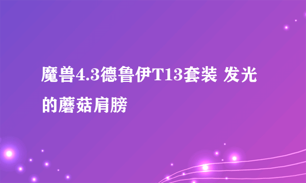 魔兽4.3德鲁伊T13套装 发光的蘑菇肩膀