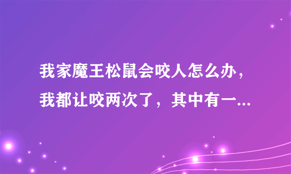 我家魔王松鼠会咬人怎么办，我都让咬两次了，其中有一个大出血，手指头肿了好几天，怎么才能不让他咬人。