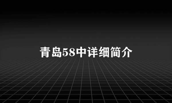 青岛58中详细简介