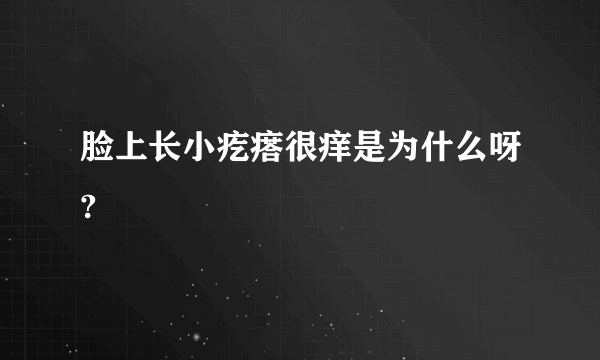 脸上长小疙瘩很痒是为什么呀?