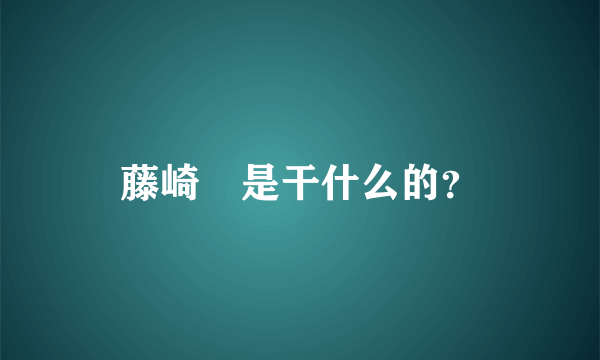 藤崎薫是干什么的？