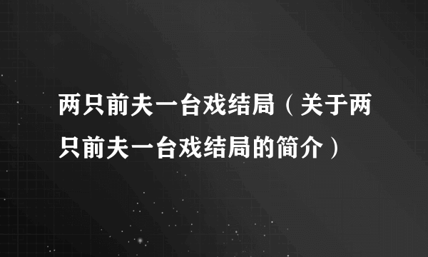 两只前夫一台戏结局（关于两只前夫一台戏结局的简介）