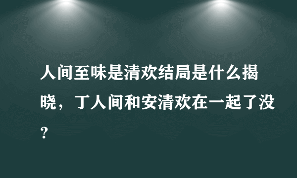 人间至味是清欢结局是什么揭晓，丁人间和安清欢在一起了没？