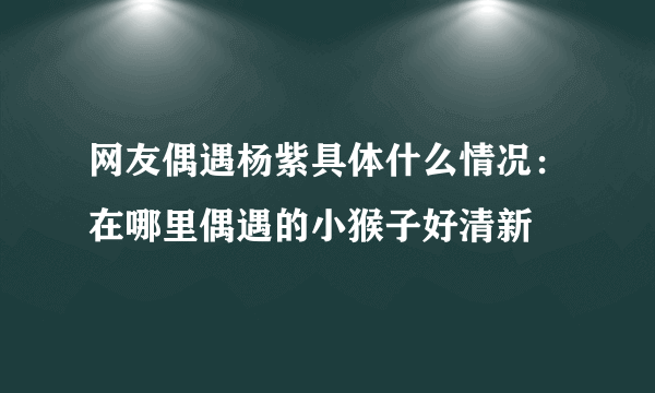 网友偶遇杨紫具体什么情况：在哪里偶遇的小猴子好清新