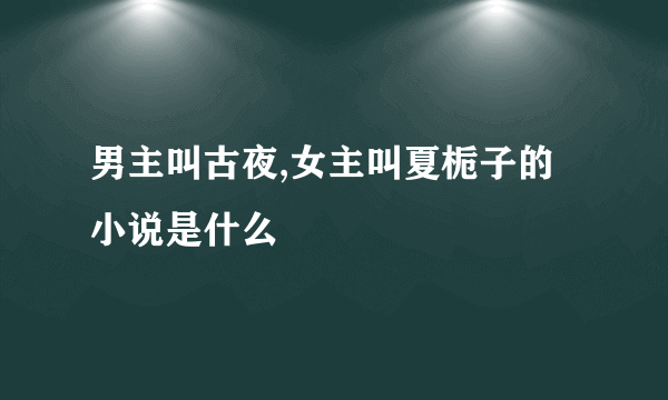 男主叫古夜,女主叫夏栀子的小说是什么