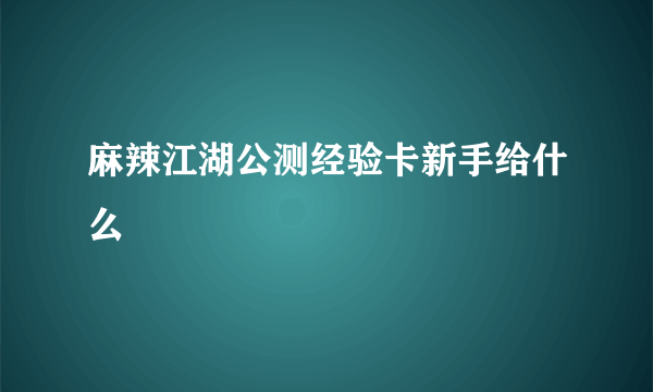 麻辣江湖公测经验卡新手给什么