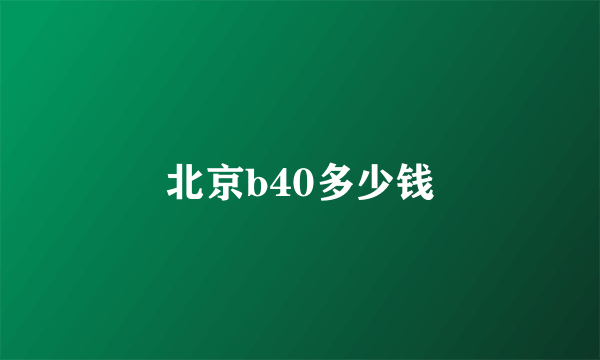 北京b40多少钱