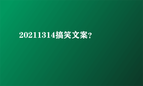 20211314搞笑文案？