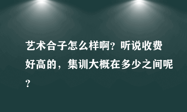 艺术合子怎么样啊？听说收费好高的，集训大概在多少之间呢？