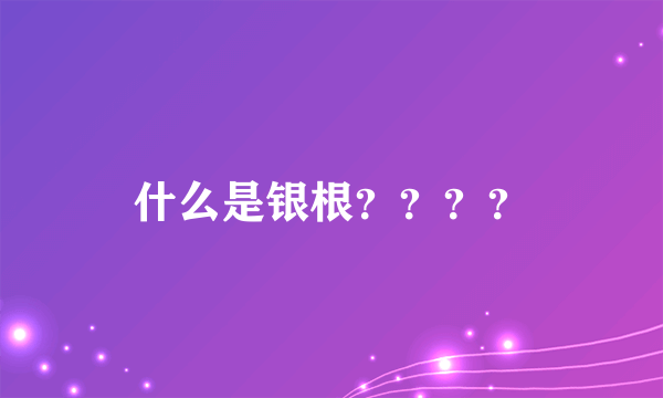 什么是银根？？？？