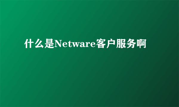 什么是Netware客户服务啊