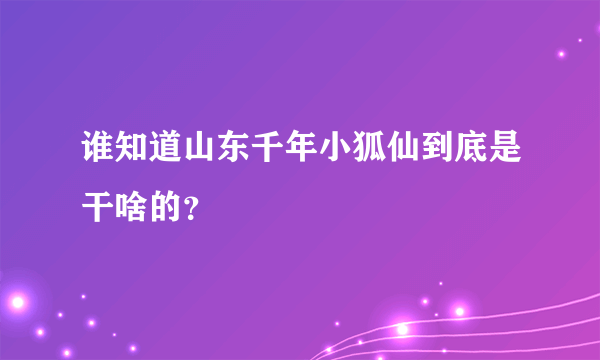 谁知道山东千年小狐仙到底是干啥的？