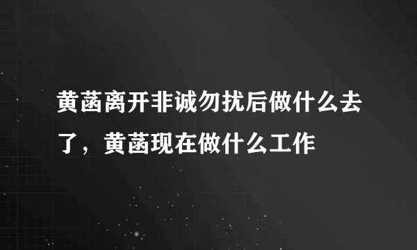 黄菡离开非诚勿扰后做什么去了，黄菡现在做什么工作