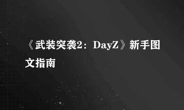 《武装突袭2：DayZ》新手图文指南