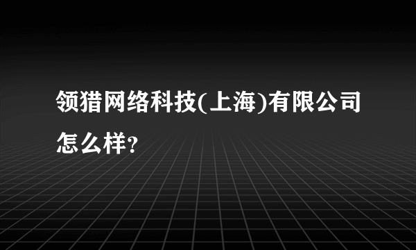 领猎网络科技(上海)有限公司怎么样？