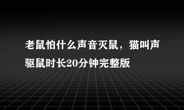 老鼠怕什么声音灭鼠，猫叫声驱鼠时长20分钟完整版