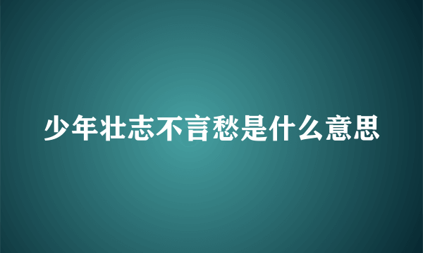 少年壮志不言愁是什么意思