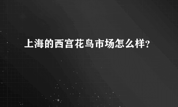 上海的西宫花鸟市场怎么样？