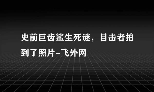 史前巨齿鲨生死谜，目击者拍到了照片-飞外网