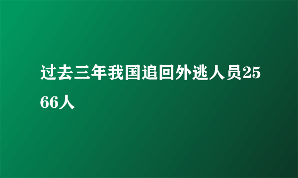 过去三年我国追回外逃人员2566人